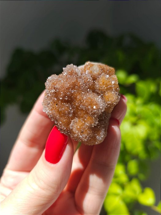 Calcedônia Sugar Botrioidal