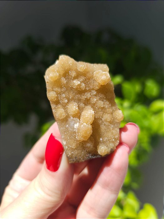 Calcedônia Sugar Dourada