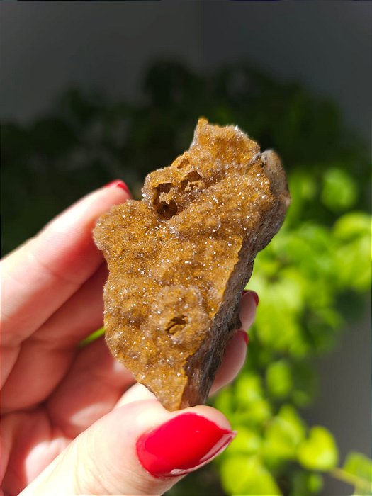 Calcedônia Sugar Dourada