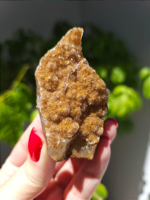 Calcedônia Sugar Dourada