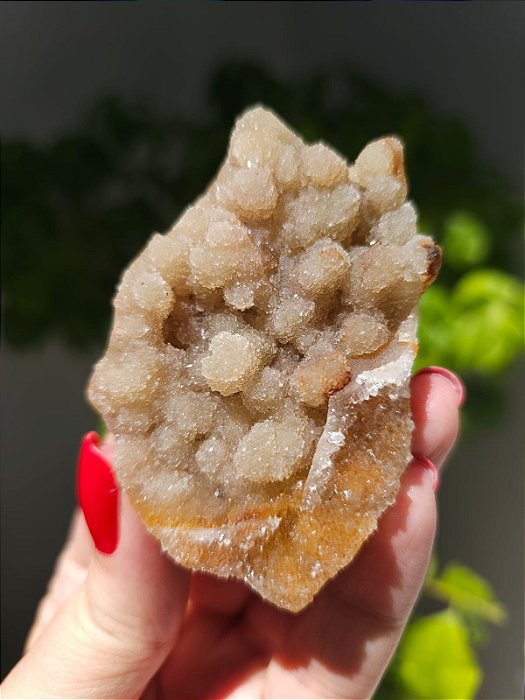 Calcedônia Sugar Botrioidal