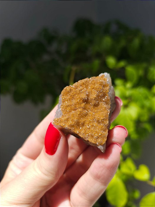 Calcedônia Sugar Dourada