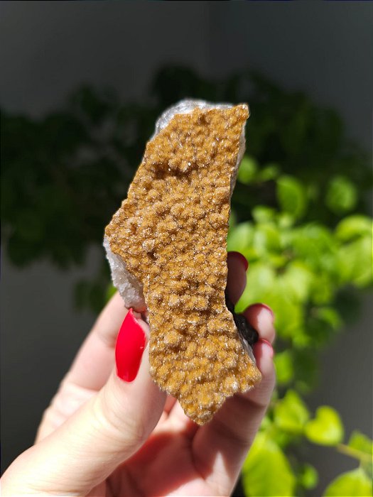 Calcedônia Sugar Dourado