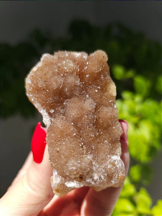 Calcedônia Sugar Botrioidal