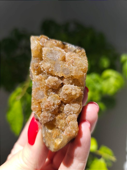 Calcedônia Sugar Dourado