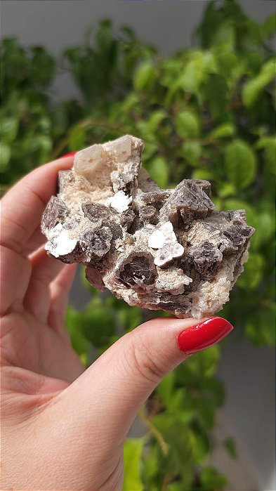 Mica em Canudos com Albita e Quartzo