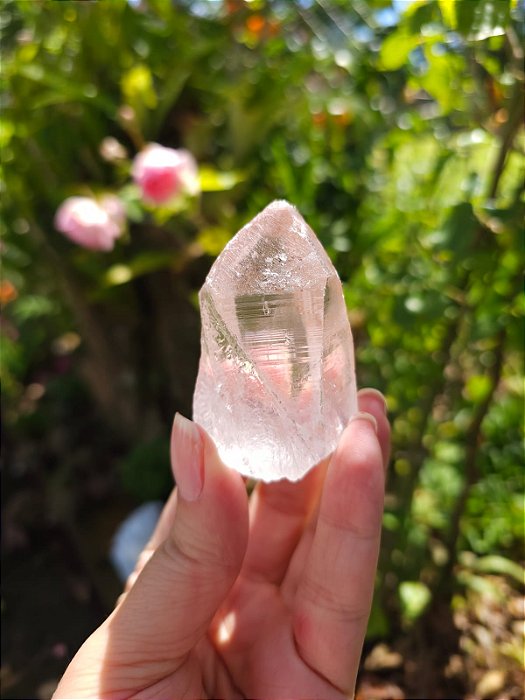 Lemuriano Rosa Elo do Tempo Passado