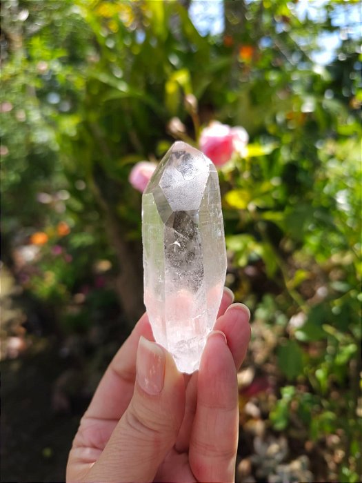 Lemuriano Rosa Elo do Tempo Passado