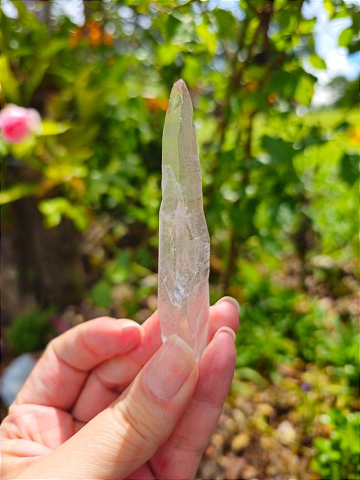 Varinha Lemuriana Rosa