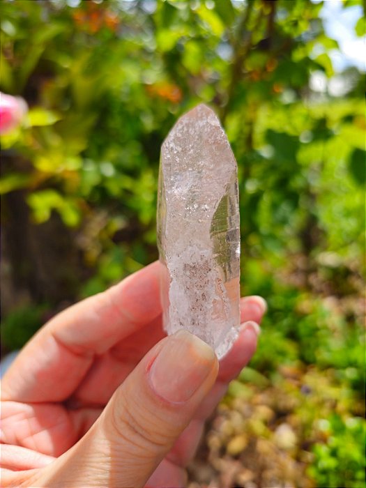 Deusa Avalon Lemuriana Rosa