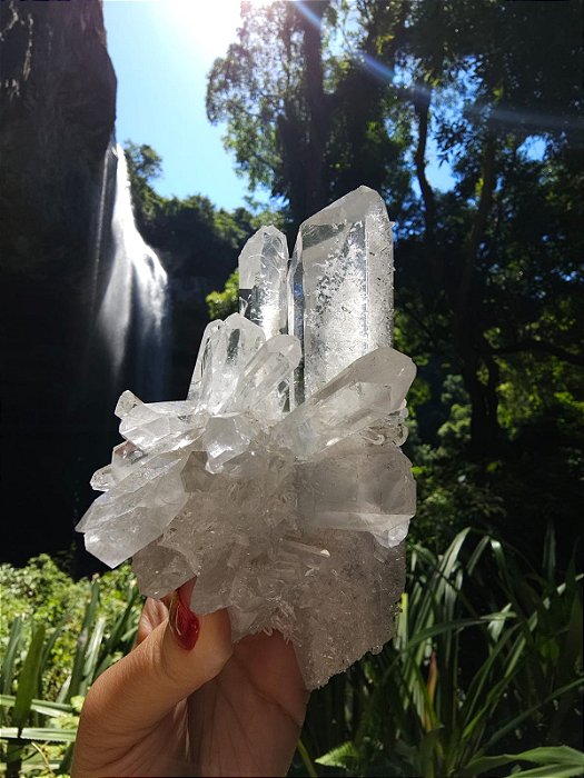 Mestre Agregador (Barnacle)