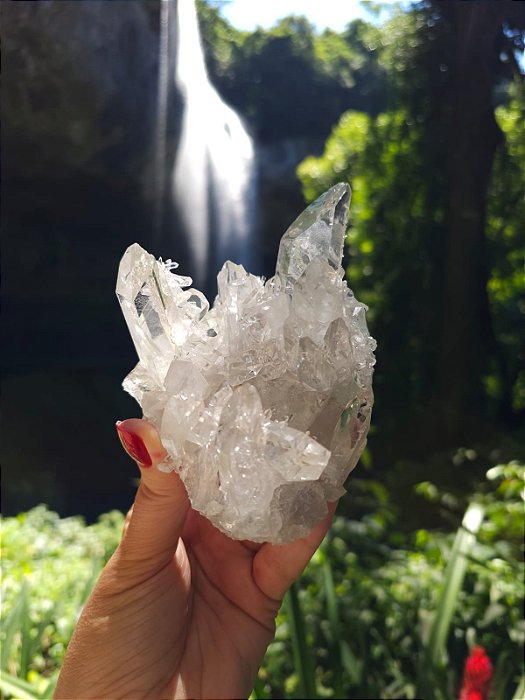 Drusa Agregadora de Mestres