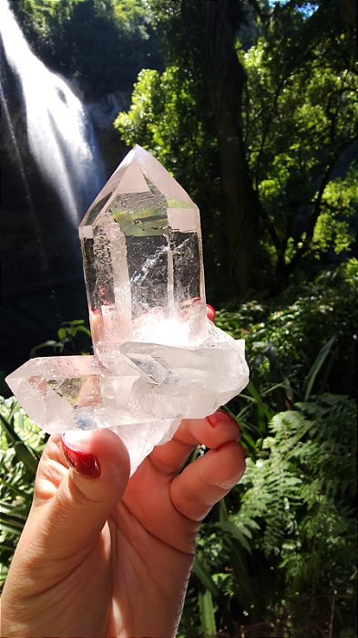 Mestre Transmissor Elo do Tempo Futuro Arquivista e Semente Estelar