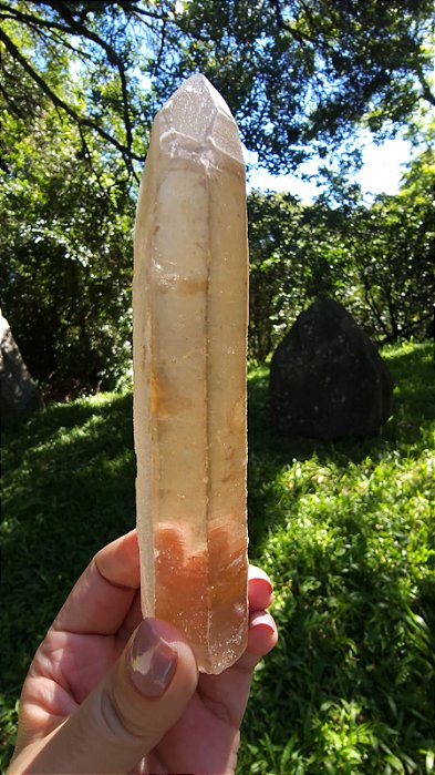 Agente de Cura Dourado