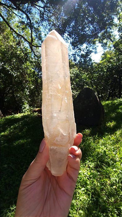 Agente de Cura Dourado Biterminado Rutilado