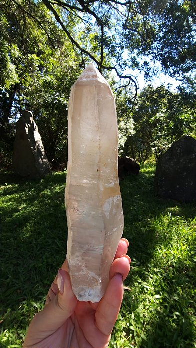 Agente de Cura Dourado Biterminado Elo do Tempo Passado