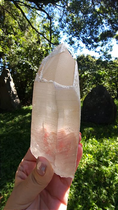 Agente de Cura Dourado Lemuriano