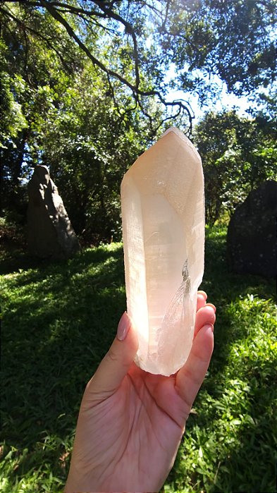 Agente de Cura Dourado Elo do Tempo Futuro