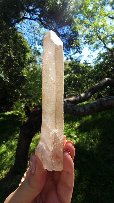 Agente de Cura Dourado