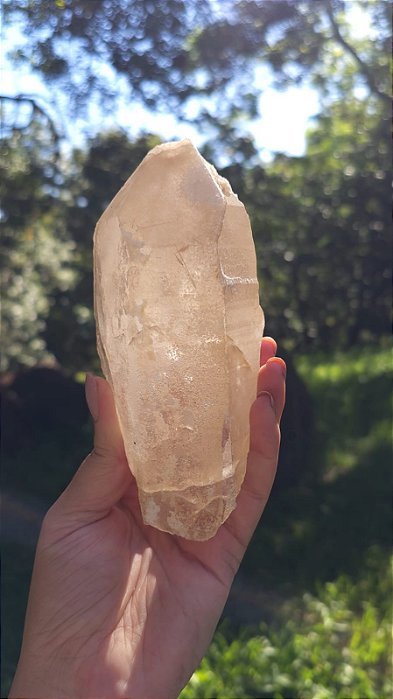 Agente de Cura Dourado com Rutilos