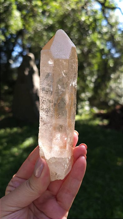 Agente de Cura Dourado