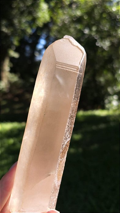 Agente de Cura Dourado