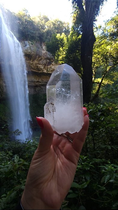 Arquivista Autocurado