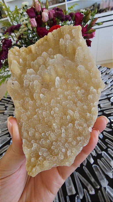 Calcedônia Sugar Dourado