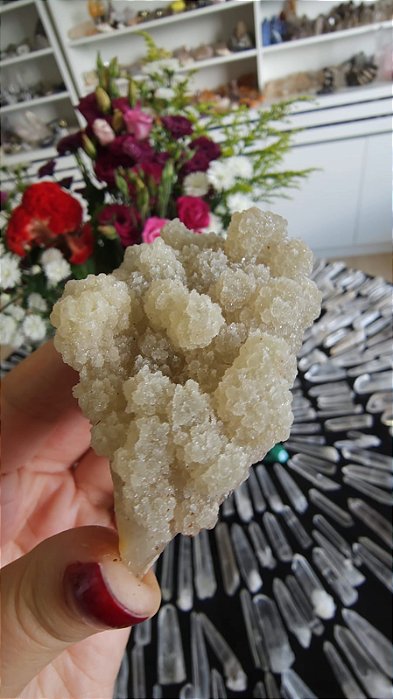 Calcedônia Sugar