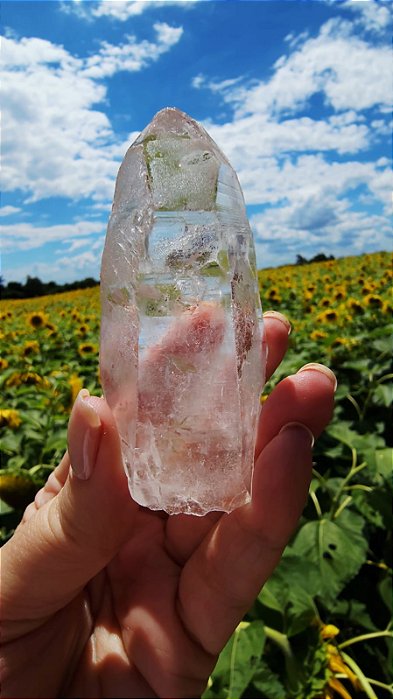 Lemuriano Rosa Biterminado