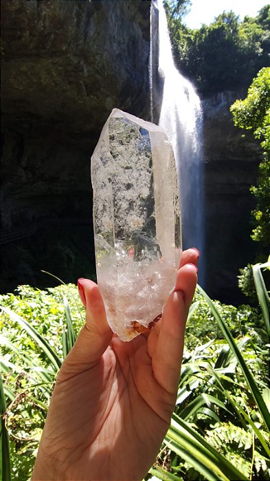 Mestre Semente Estelar