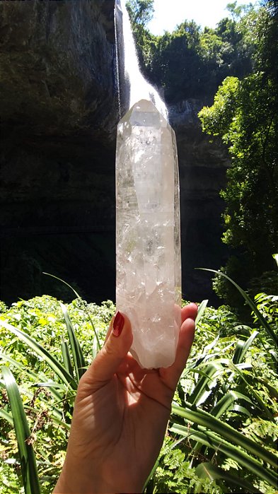 Mestre Lemuriano e Elo do Tempo Futuro