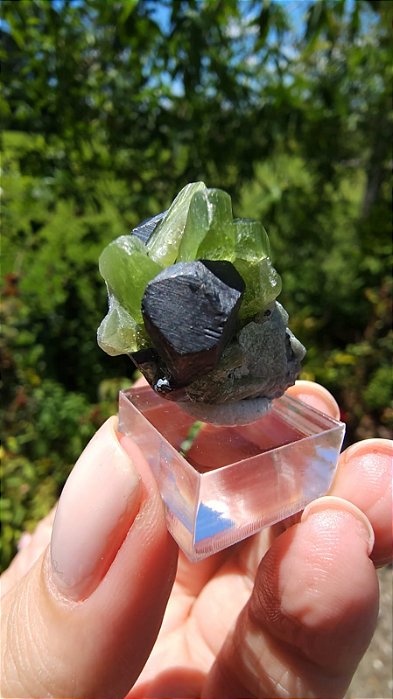 Peridoto e Magnetita