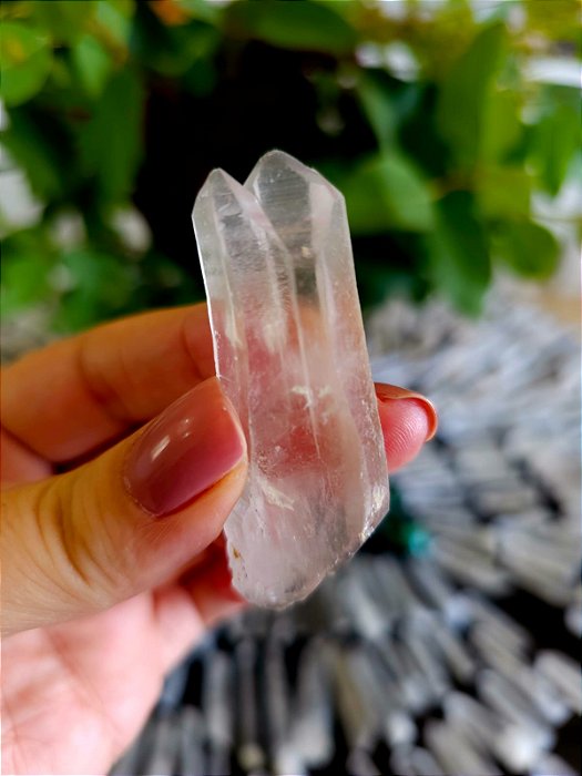 Gêmeos Tântricos Biterminados