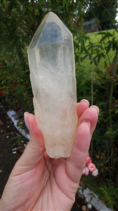 Golden Healer Autocurado