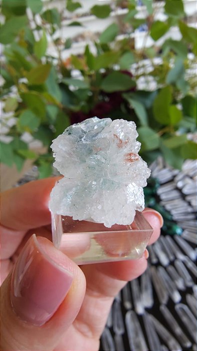 Flor de Cristal com Celadonita