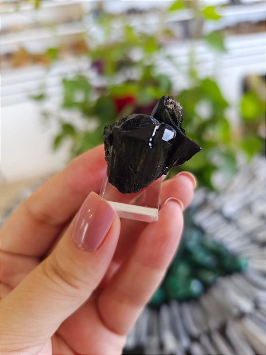 Turmalina Verde com Terminação Natural