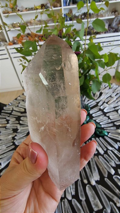 Mestre Semente Estelar Gravado Canalizador Elo do Tempo Passado