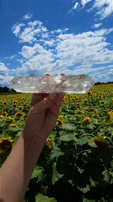 Mestre Gêmeos Tântricos Biterminado