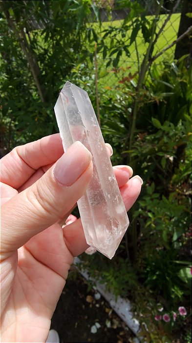 Mestre Biterminado com Dentrita