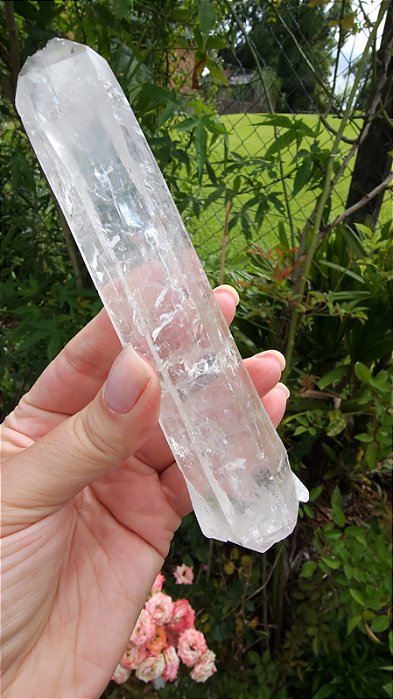 Mestre Biterminado Autocurado