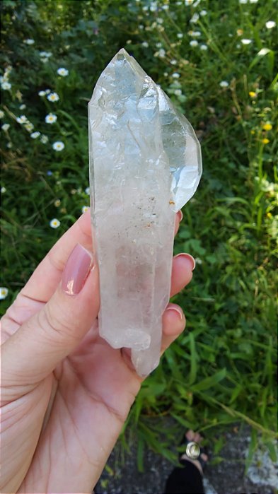 Mestre Biterminado Autocurado