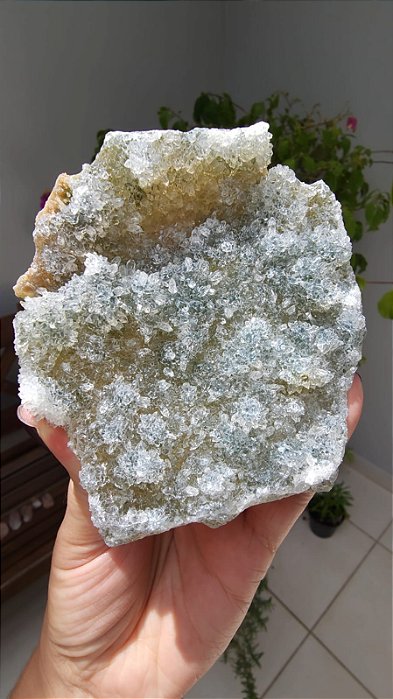 Drusa de Quartzo com Celadonita