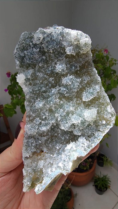 Drusa de Quartzo com Celadonita