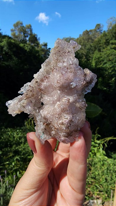 Flor de Cristal Extra