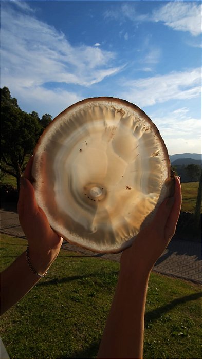 Ágata com Dentritas