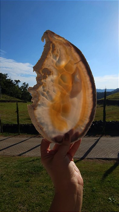 Ágata com Geodo Sugar