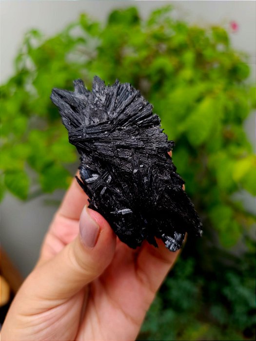 Cianita Negra - Vassoura de Bruxa