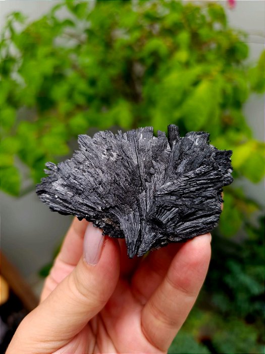 Cianita Negra - Vassoura de Bruxa