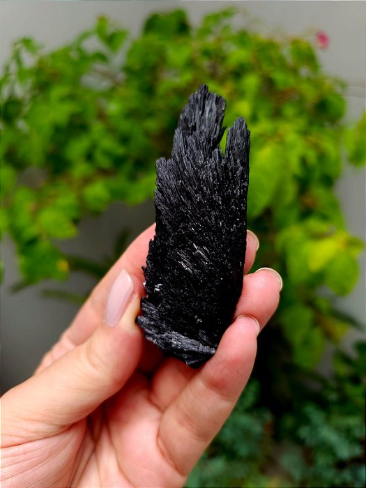 Cianita Negra - Vassoura de Bruxa